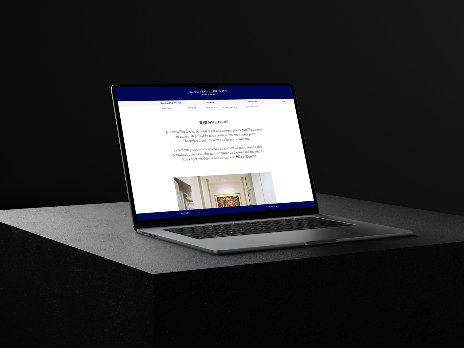 Site web E. Gutzwiller - Page d'accueil