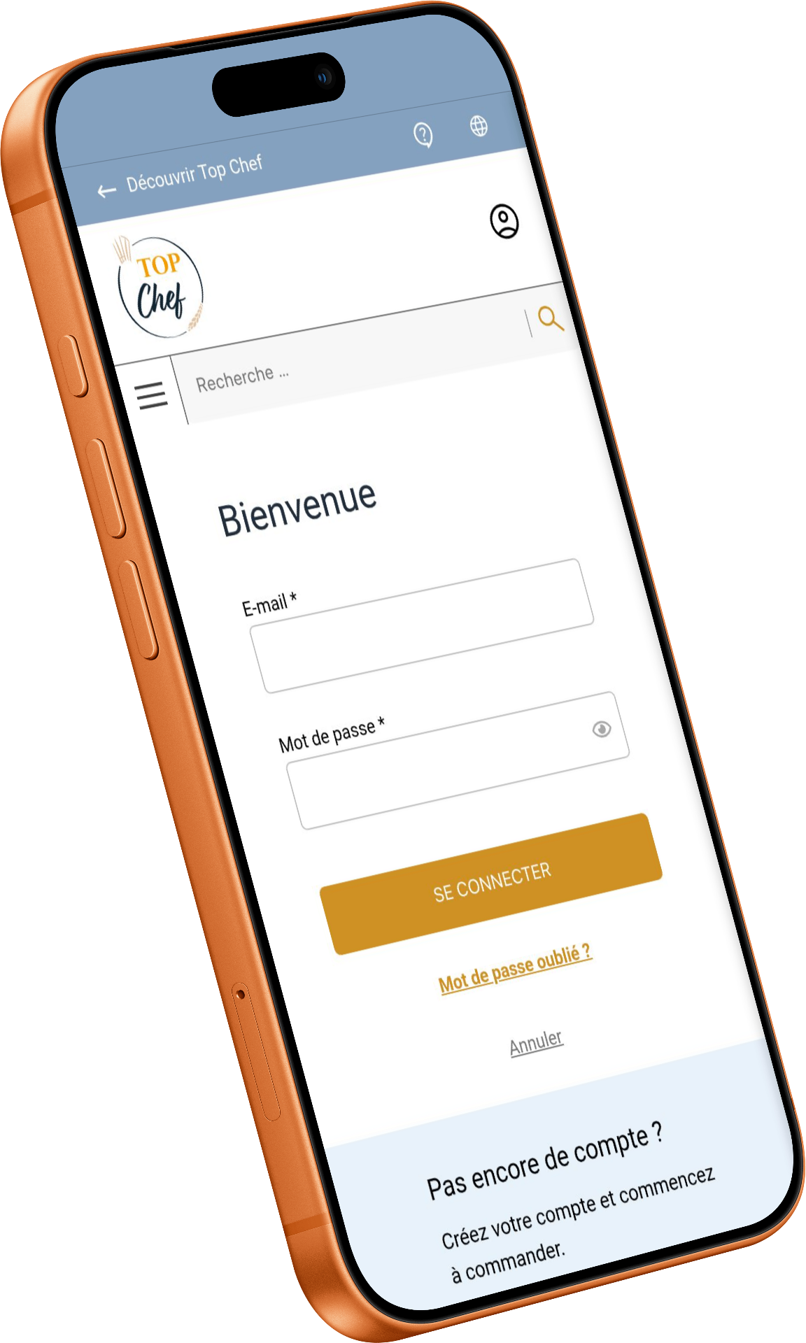 Interface mobile - Connexion